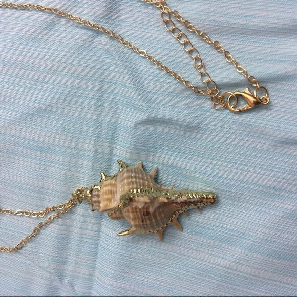 Fabulous Treasure Conch Shell Necklace (j3) - Picture 3 of 8
